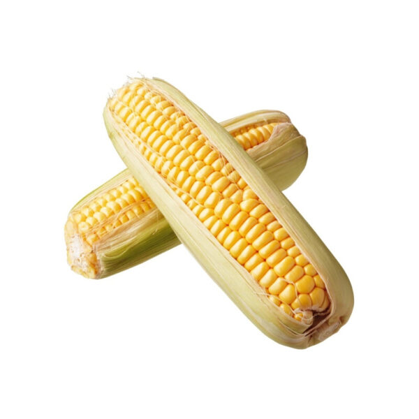 Fresh Sweet Corn 2pcs